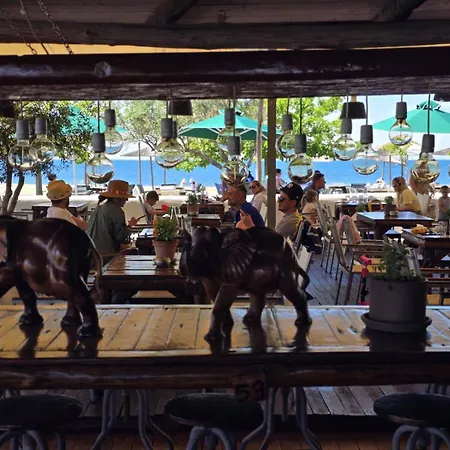 Apartment Semi Ground Angels