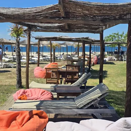 Semi Ground Angels Angelochorion