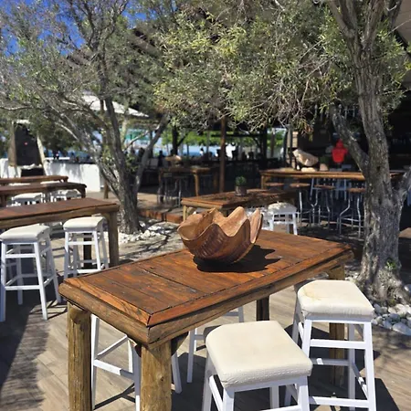 Semi Ground Angels Angelochorion